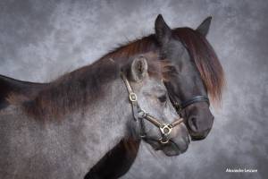 Alexandre LESCURE - ALEXANDRE LESCURE PHOTOGRAPHE