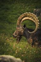 Elie POUYANNE - DIRECTED BY ELIE